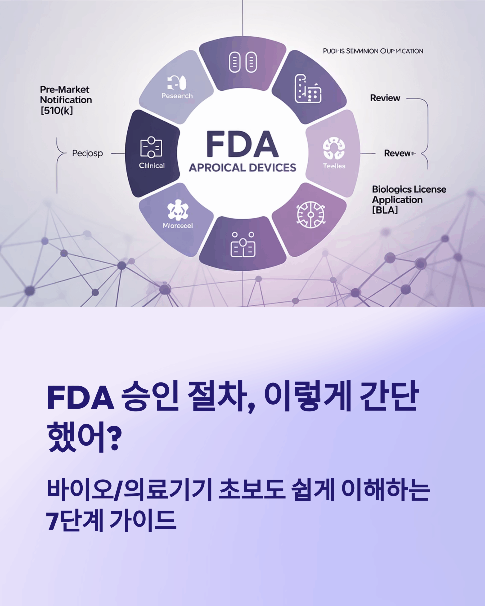 FDA승인 절차