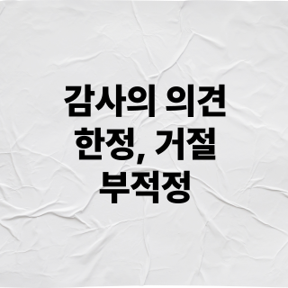 감사의견